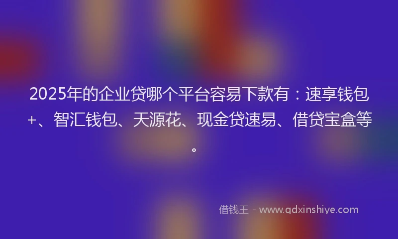 2025年的企业贷哪个平台容易下款有：速享钱包+、智汇钱包、天源花、现金贷速易、借贷宝盒等。