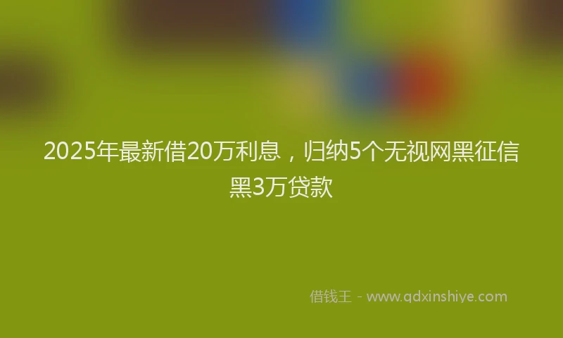 2025年最新借20万利息，归纳5个无视网黑征信黑3万贷款