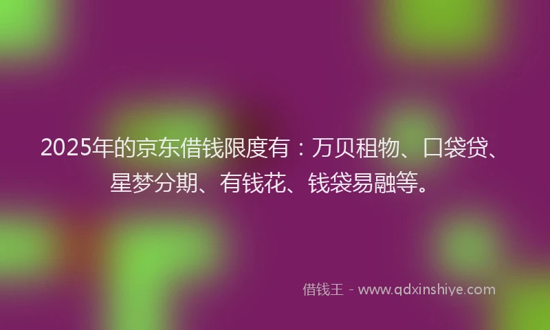 2025年的京东借钱限度有：万贝租物、口袋贷、星梦分期、有钱花、钱袋易融等。