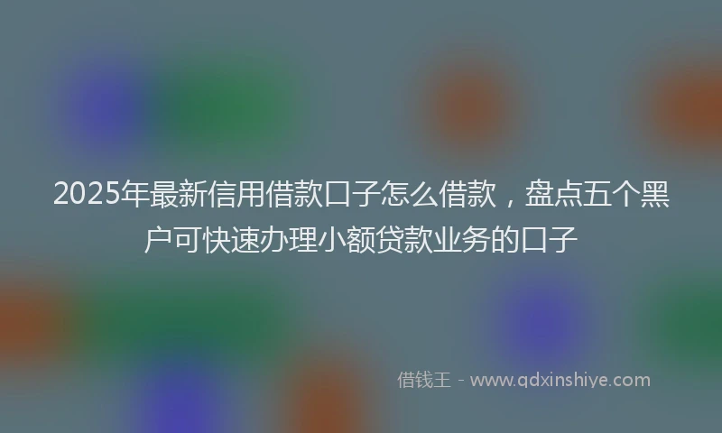2025年最新信用借款口子怎么借款，盘点五个黑户可快速办理小额贷款业务的口子