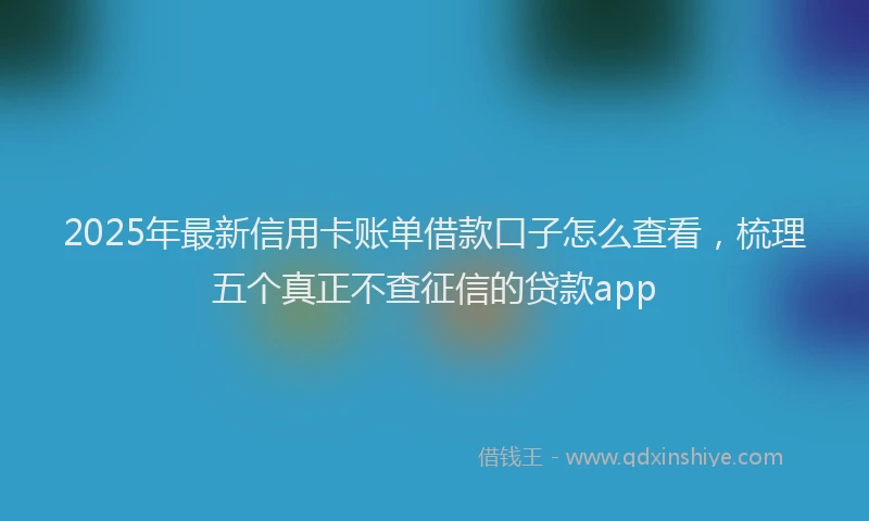 2025年最新信用卡账单借款口子怎么查看，梳理五个真正不查征信的贷款app
