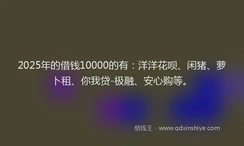 2025年的借钱10000的有：洋洋花呗、闲猪、萝卜租、你我贷-极融、安心购等。