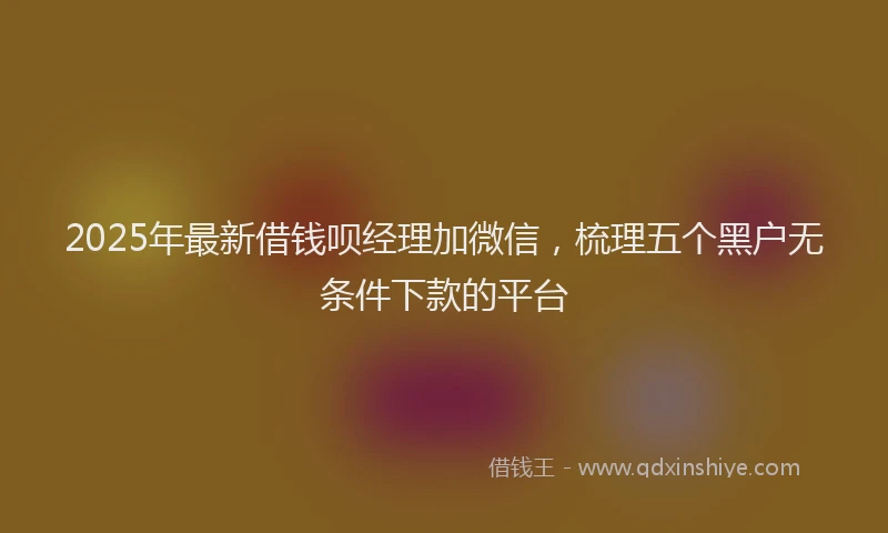 2025年最新借钱呗经理加微信，梳理五个黑户无条件下款的平台