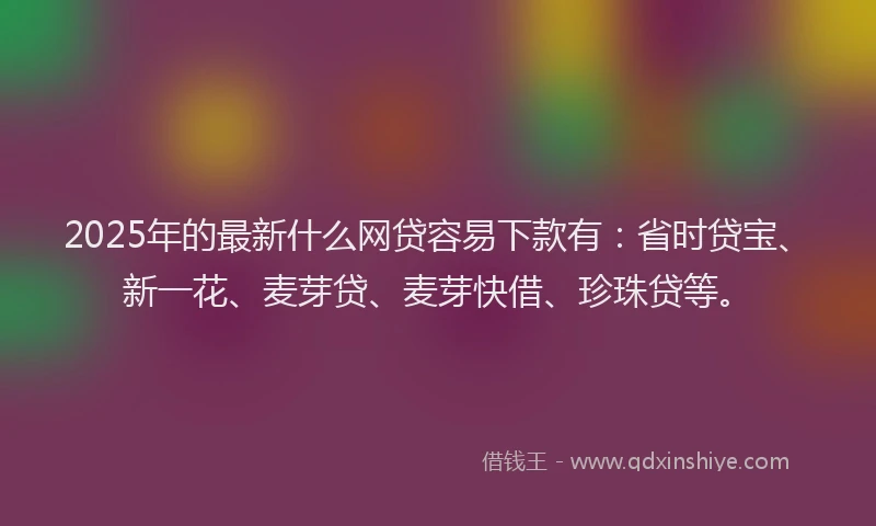 2025年的最新什么网贷容易下款有：省时贷宝、新一花、麦芽贷、麦芽快借、珍珠贷等。