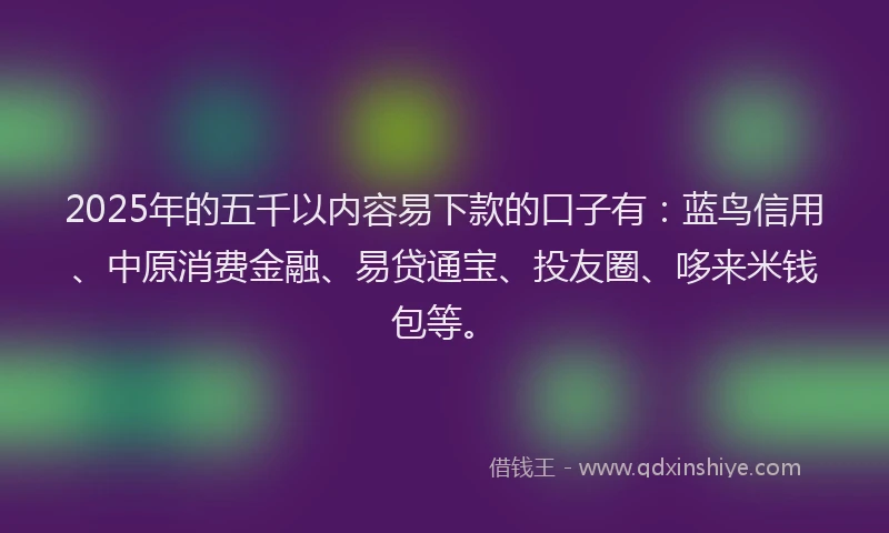 2025年的五千以内容易下款的口子有：蓝鸟信用、中原消费金融、易贷通宝、投友圈、哆来米钱包等。