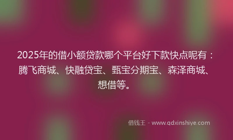 2025年的借小额贷款哪个平台好下款快点呢有：腾飞商城、快融贷宝、甄宝分期宝、森泽商城、想借等。