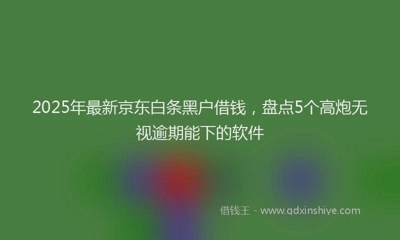 2025年最新京东白条黑户借钱，盘点5个高炮无视逾期能下的软件