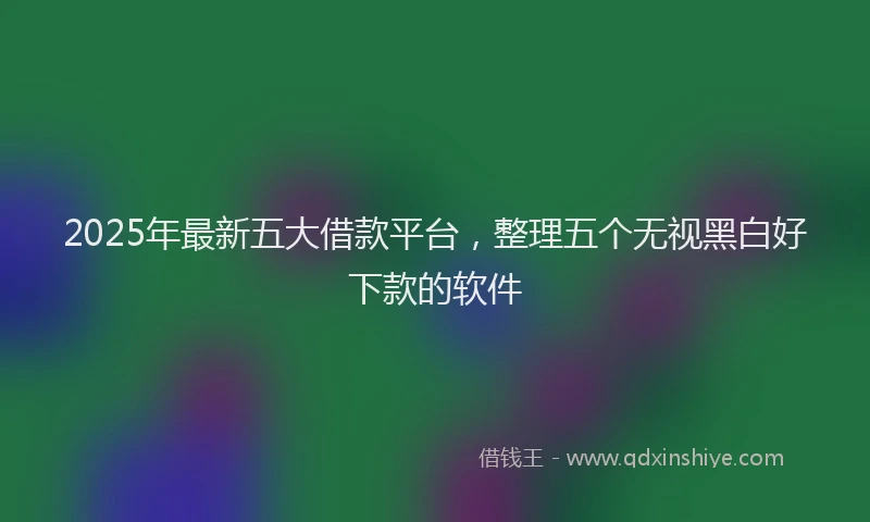 2025年最新五大借款平台，整理五个无视黑白好下款的软件