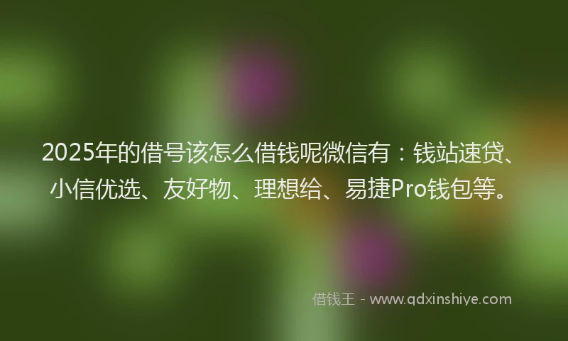 2025年的借号该怎么借钱呢微信有：钱站速贷、小信优选、友好物、理想给、易捷Pro钱包等。