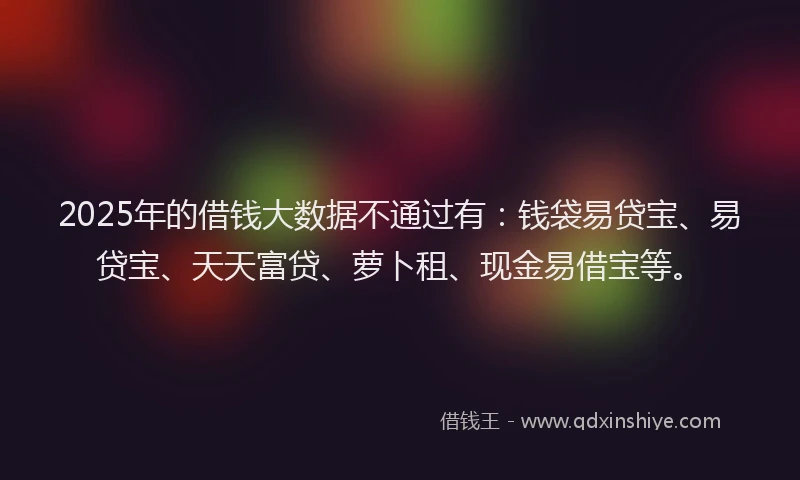 2025年的借钱大数据不通过有：钱袋易贷宝、易贷宝、天天富贷、萝卜租、现金易借宝等。