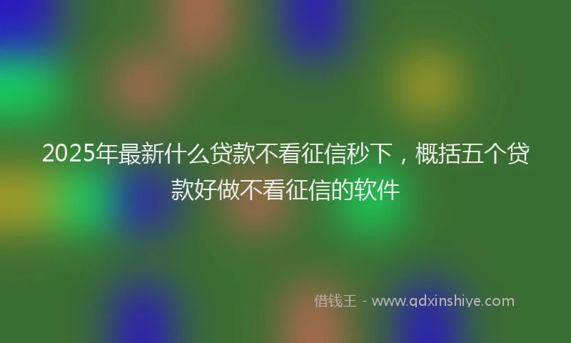 2025年最新什么贷款不看征信秒下，概括五个贷款好做不看征信的软件