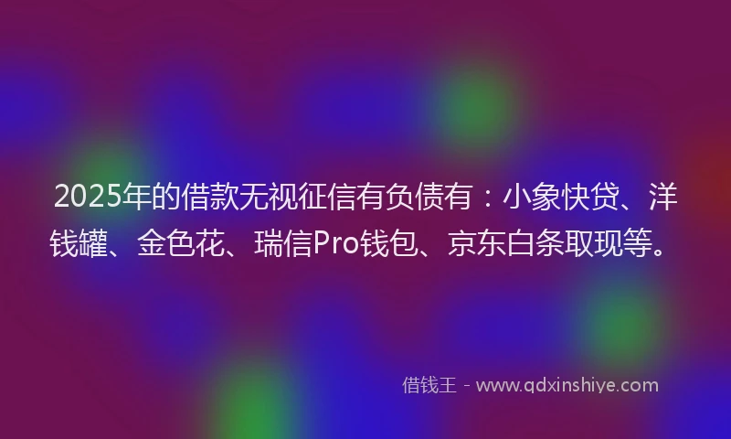 2025年的借款无视征信有负债有：小象快贷、洋钱罐、金色花、瑞信Pro钱包、京东白条取现等。