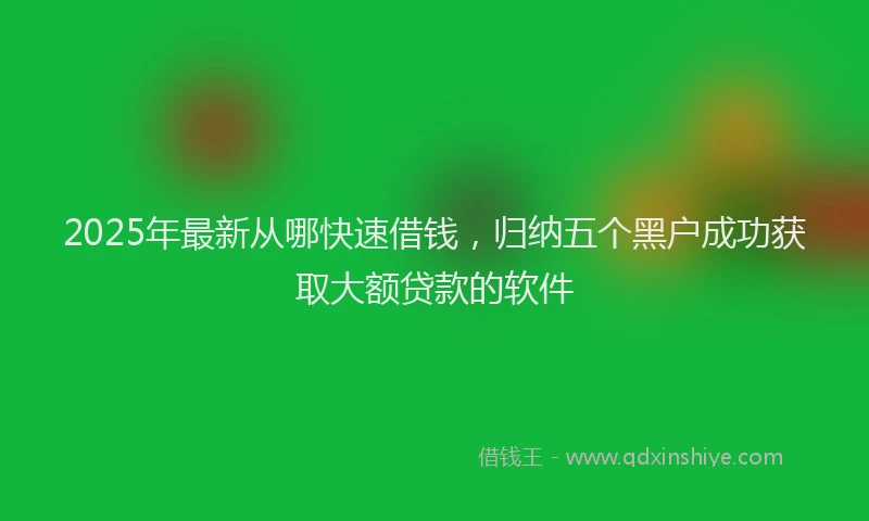 2025年最新从哪快速借钱，归纳五个黑户成功获取大额贷款的软件