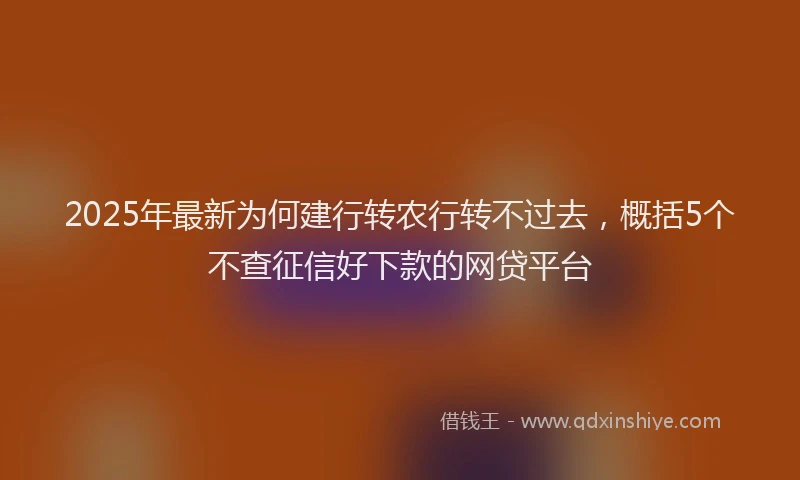 2025年最新为何建行转农行转不过去，概括5个不查征信好下款的网贷平台