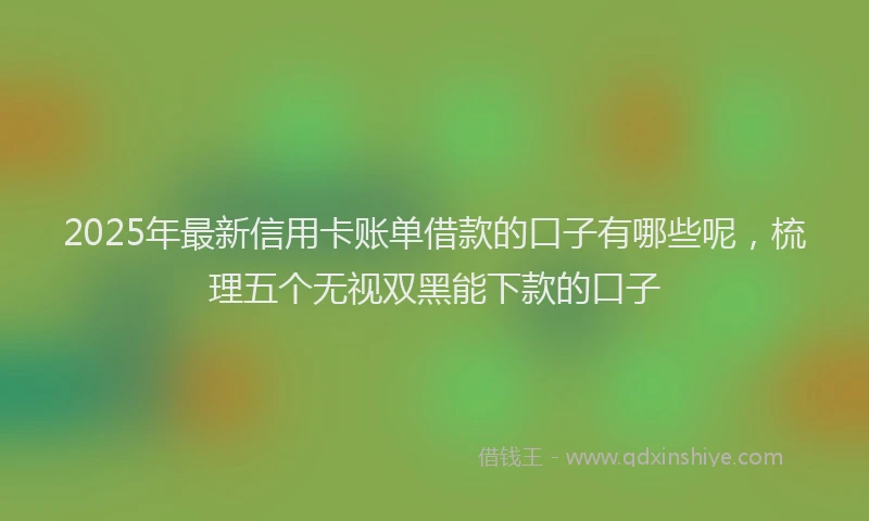 2025年最新信用卡账单借款的口子有哪些呢，梳理五个无视双黑能下款的口子