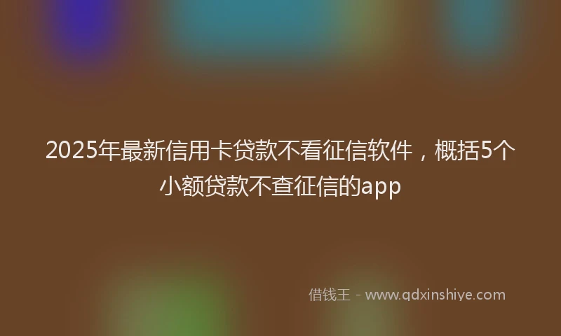 2025年最新信用卡贷款不看征信软件，概括5个小额贷款不查征信的app