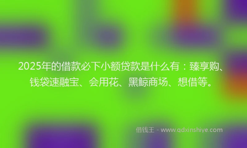 2025年的借款必下小额贷款是什么有：臻享购、钱袋速融宝、会用花、黑鲸商场、想借等。