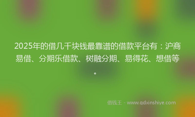 2025年的借几千块钱最靠谱的借款平台有：沪商易借、分期乐借款、树融分期、易得花、想借等。