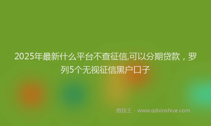 2025年最新什么平台不查征信,可以分期贷款，罗列5个无视征信黑户口子
