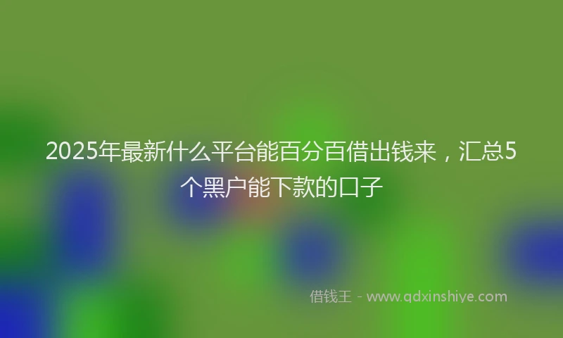 2025年最新什么平台能百分百借出钱来，汇总5个黑户能下款的口子