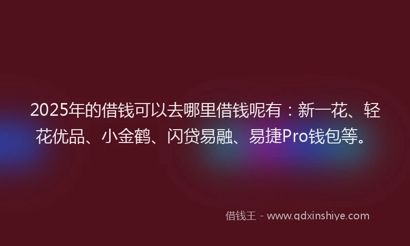 2025年的借钱可以去哪里借钱呢有：新一花、轻花优品、小金鹤、闪贷易融、易捷Pro钱包等。