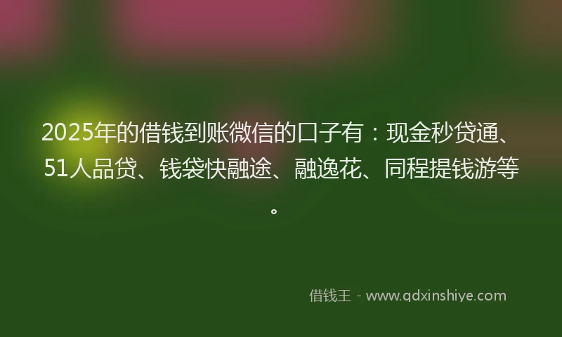 2025年的借钱到账微信的口子有：现金秒贷通、51人品贷、钱袋快融途、融逸花、同程提钱游等。
