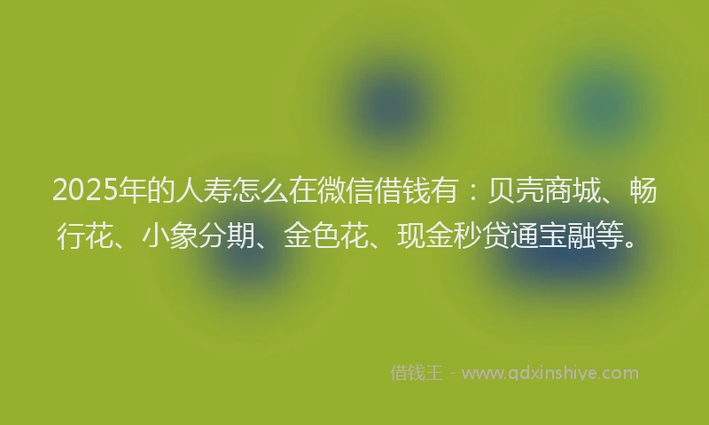 2025年的人寿怎么在微信借钱有：贝壳商城、畅行花、小象分期、金色花、现金秒贷通宝融等。
