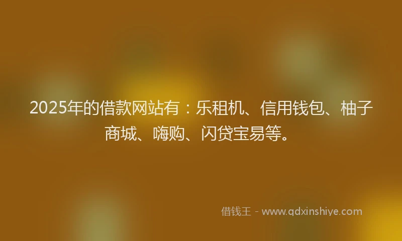 2025年的借款网站有：乐租机、信用钱包、柚子商城、嗨购、闪贷宝易等。