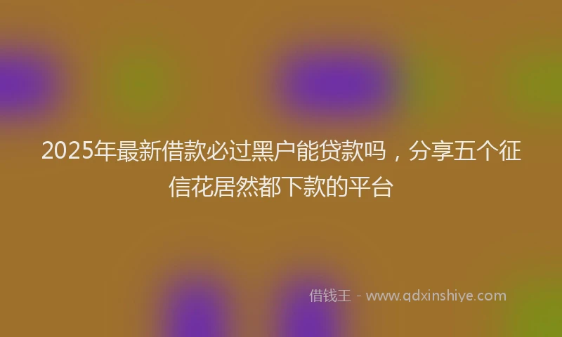 2025年最新借款必过黑户能贷款吗，分享五个征信花居然都下款的平台
