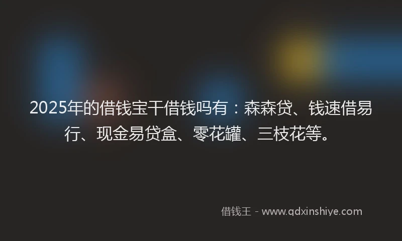 2025年的借钱宝干借钱吗有：森森贷、钱速借易行、现金易贷盒、零花罐、三枝花等。