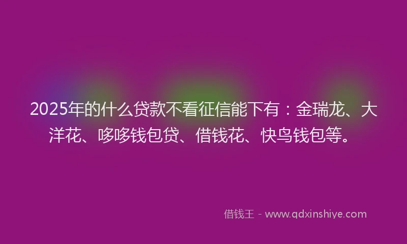 2025年的什么贷款不看征信能下有：金瑞龙、大洋花、哆哆钱包贷、借钱花、快鸟钱包等。