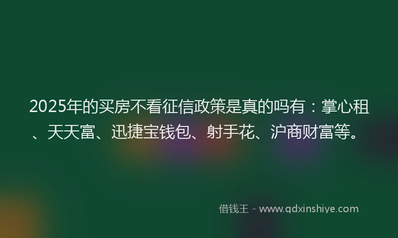 2025年的买房不看征信政策是真的吗有：掌心租、天天富、迅捷宝钱包、射手花、沪商财富等。