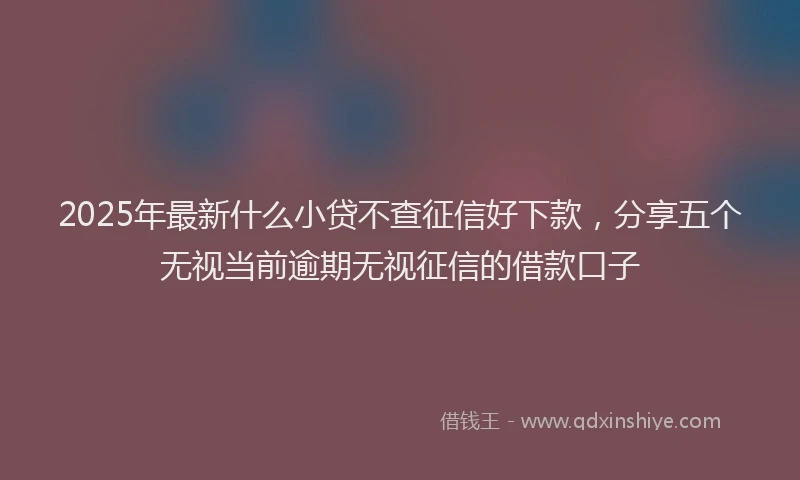 2025年最新什么小贷不查征信好下款，分享五个无视当前逾期无视征信的借款口子