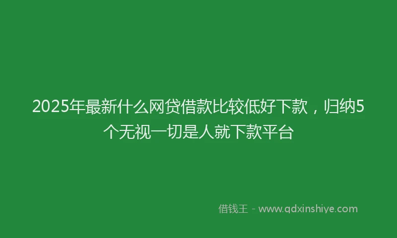2025年最新什么网贷借款比较低好下款，归纳5个无视一切是人就下款平台