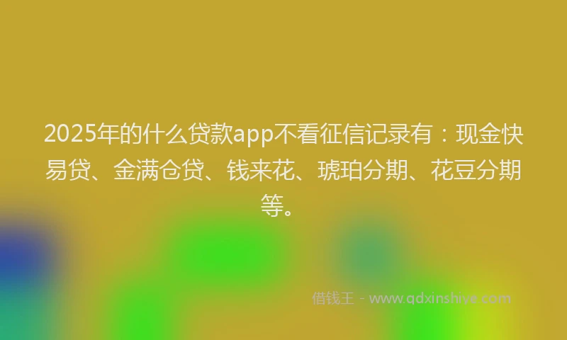2025年的什么贷款app不看征信记录有：现金快易贷、金满仓贷、钱来花、琥珀分期、花豆分期等。
