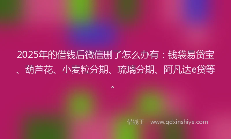 2025年的借钱后微信删了怎么办有：钱袋易贷宝、葫芦花、小麦粒分期、琉璃分期、阿凡达e贷等。