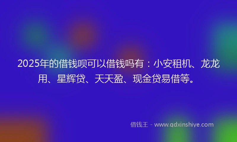 2025年的借钱呗可以借钱吗有：小安租机、龙龙用、星辉贷、天天盈、现金贷易借等。