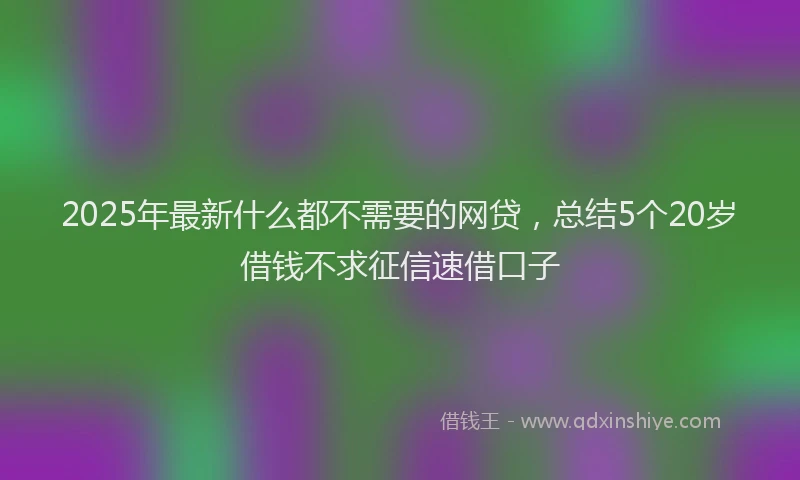 2025年最新什么都不需要的网贷，总结5个20岁借钱不求征信速借口子