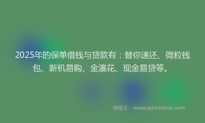 2025年的保单借钱与贷款有：替你速还、微粒钱包、新机易购、金瀛花、现金易贷等。