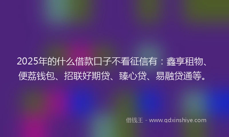 2025年的什么借款口子不看征信有：鑫享租物、便荔钱包、招联好期贷、臻心贷、易融贷通等。