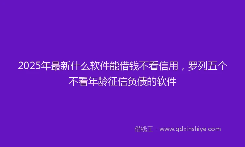 2025年最新什么软件能借钱不看信用，罗列五个不看年龄征信负债的软件