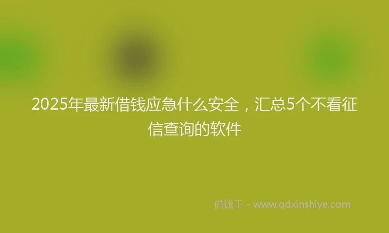 2025年最新借钱应急什么安全，汇总5个不看征信查询的软件
