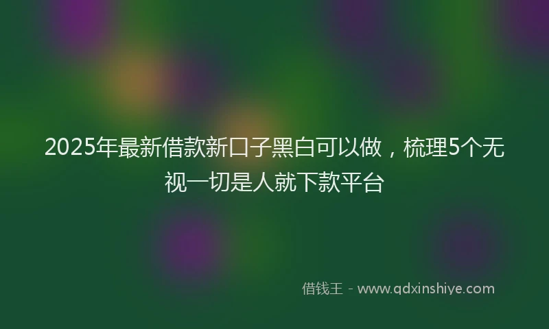 2025年最新借款新口子黑白可以做，梳理5个无视一切是人就下款平台