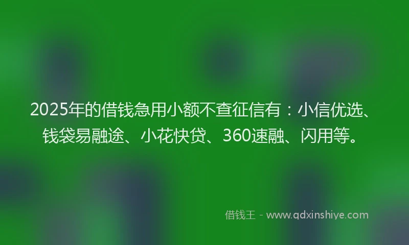 2025年的借钱急用小额不查征信有：小信优选、钱袋易融途、小花快贷、360速融、闪用等。