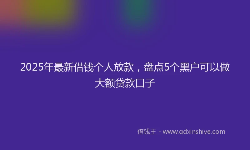 2025年最新借钱个人放款，盘点5个黑户可以做大额贷款口子