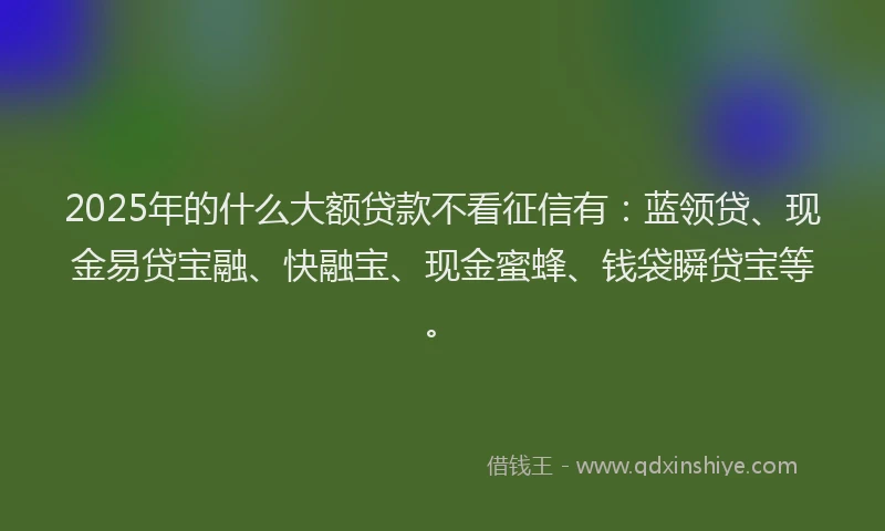 2025年的什么大额贷款不看征信有：蓝领贷、现金易贷宝融、快融宝、现金蜜蜂、钱袋瞬贷宝等。