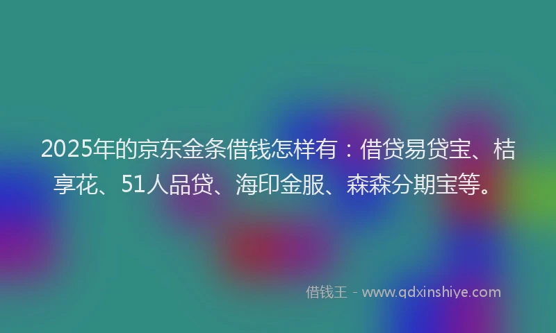 2025年的京东金条借钱怎样有：借贷易贷宝、桔享花、51人品贷、海印金服、森森分期宝等。