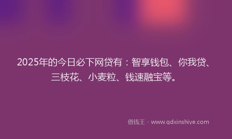 2025年的今日必下网贷有：智享钱包、你我贷、三枝花、小麦粒、钱速融宝等。