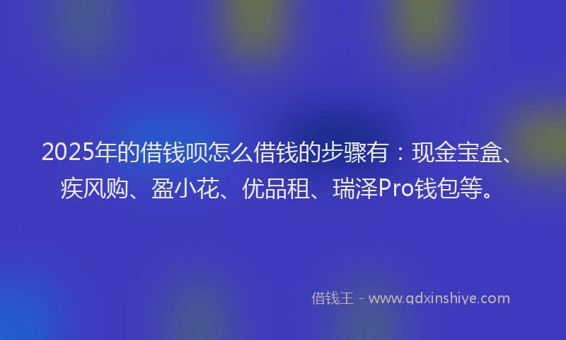 2025年的借钱呗怎么借钱的步骤有：现金宝盒、疾风购、盈小花、优品租、瑞泽Pro钱包等。