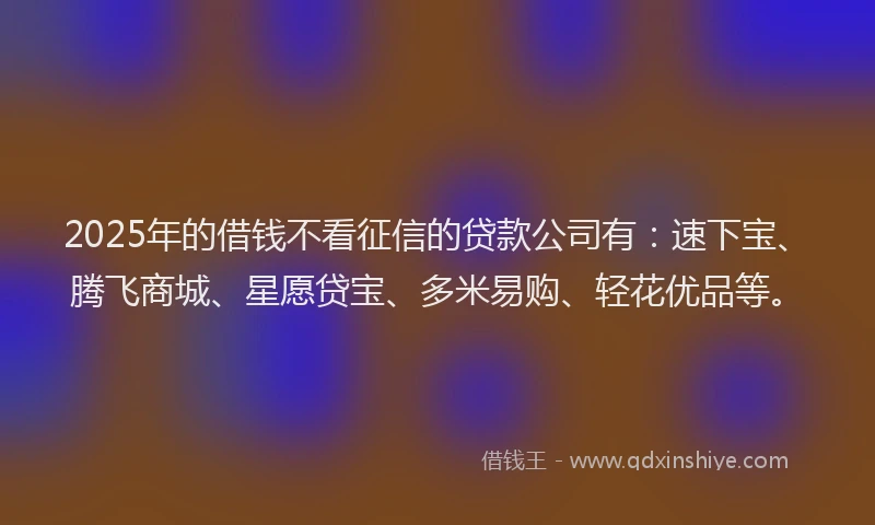 2025年的借钱不看征信的贷款公司有：速下宝、腾飞商城、星愿贷宝、多米易购、轻花优品等。